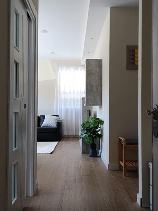 Amplio Y Tranquilo Apartamento Casa Σαλαμάνκα Εξωτερικό φωτογραφία